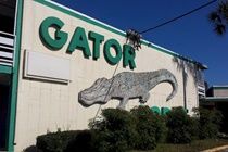 Gator Lodge Jacksonville Luaran gambar